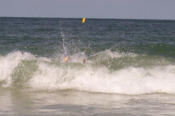 Rosi und die Knallerbsen auf Sylt 44
